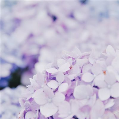 剑指江湖九游版下载